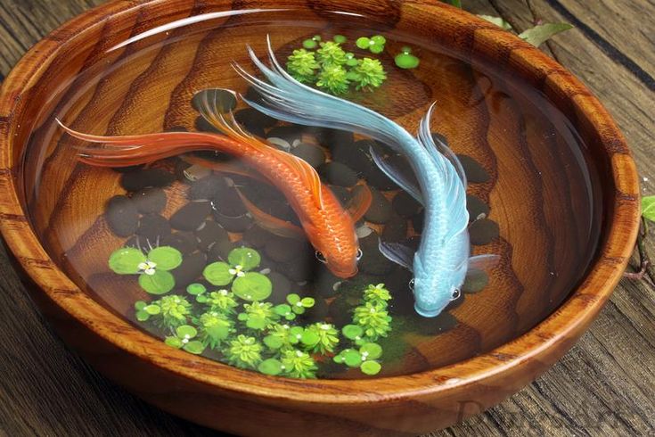 3D Resin Painting betta Painting fish tank resin craft Art collection Painting Art Art Decoration painting gift Betta art fish tank اپوکسی در هنر و صنایع دستی